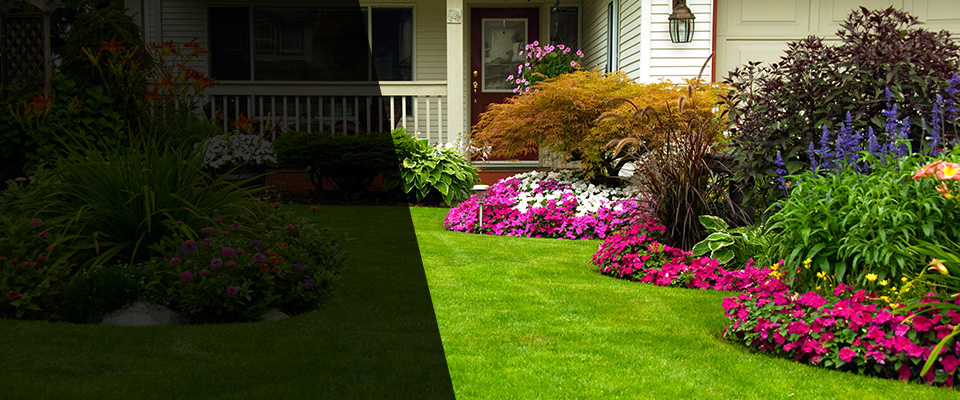 Bradley Landscapers