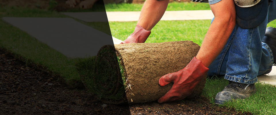 Bradley Landscapers